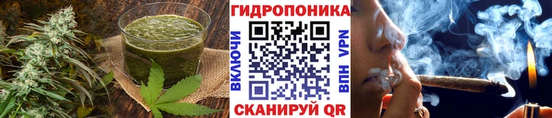 darknet наркотические препараты  Магас  Cannafood марихуана  где продают наркотики 