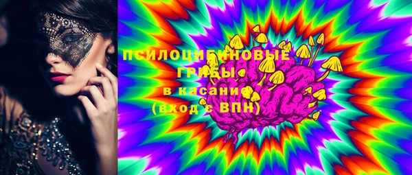 ешки Белокуриха