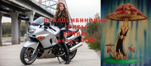 ешки Белокуриха