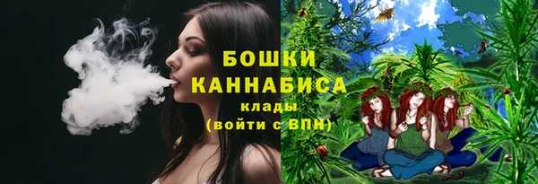 ешки Белокуриха