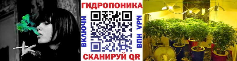 закладка  Магас  hydra зеркало  Каннабис индика 